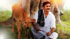 Idli Kadai OTT Release